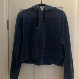 Calvin Klein Blue Velvet Cropped Sweatshirt